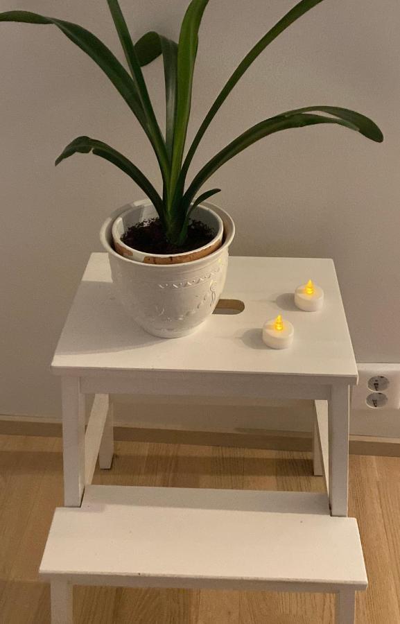 Rivitalohuoneisto Apartment Kokkola  Bagian luar foto